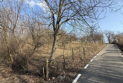 Teren intravilan 2788 mp deschidere 55 ml cu vedere panoramica ! - 19