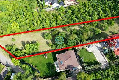 Ocazie Unica - Teren la Platoul Cornesti la doar 134 euro + TVA ! - 1464 mp - 3