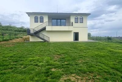 Vila cu 4 camere, 300mp, zona Iris - 2