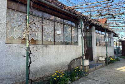 Casa individuala, curte si gradina, Harman - 16