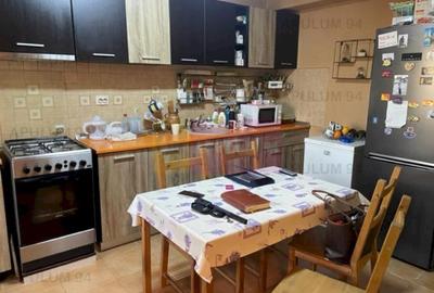 Duplex Domnesti- Putul Olteni. - 4