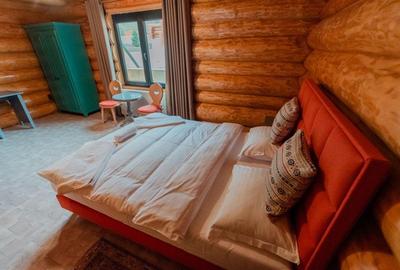 Cabana din Busteni in Bucovina! De Vanzare! 0727817187 - 11