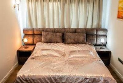 Casa individuala LUX, 240 mp, teren 500 mp, str. Dianei, Faget - 11