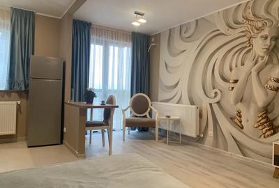 THEODOR PALLADY | HILS RESIDENCE | GARSONIERA | CENTRALA | AC | METROU - 4