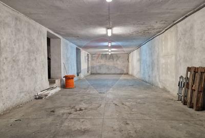 Hală industrială 400 mp Uzina 2 , depozitare / producție / logistică - 1