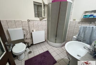 Vanzare casa in Ampoita -1300 mp teren - 6