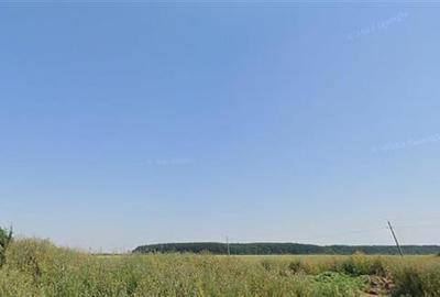 Teren de vanzare cu Puz aprobat - 210 000 mp - Mogosoaia - 5