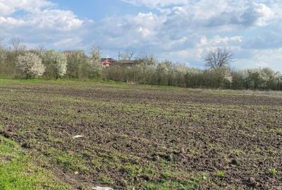 Teren de vanzare centru Bucsani, acces imediat din DN1 - 4