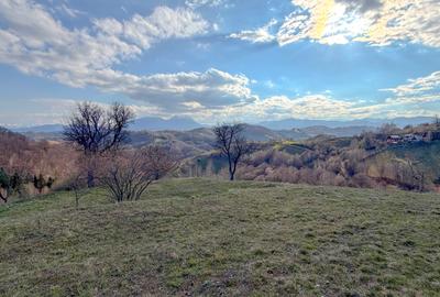 Refugiu de poveste în inima naturii | 12.000 mp în Holbav | Proiect început - 7
