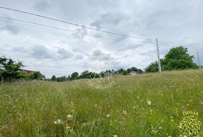 Teren Intravilan 3093 mp-ideal case/cabane/pensiune-Bistrita Bargaului - 2