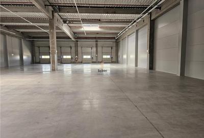 Spatiu Industrial - 4600 mp - Productie - Depozitare - Distributie - 6