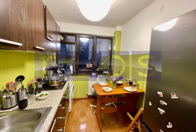 VANZARE APARTAMENT 2 CAMERE BABA NOVAC PARK LAKE DRISTOR 53MP - 9