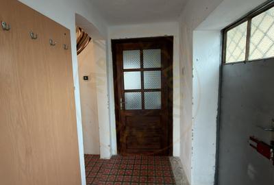 De vânzare 2 Case de vinificație cu Teren 4108 mp - Grădina Viilor - Carei - 14