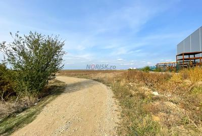 TEREN Dezv Logistica 2500mp posib extindere Centura CHITILA Rudeni - 9