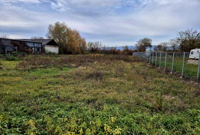 Teren constructie hala/depozit/mica insdustrie/service auto, Halchiu - 1