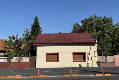 Casa parter, renovata, mobilata, gradina amenajata, str Petofi Sandor-Dumbravita - 50