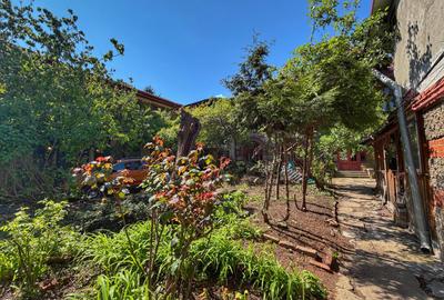 Apartament boem - Casa istorica - curte generoasa - 15