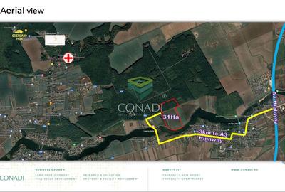 Teren Construcții intravilan de 310000 mp, în Moara Vlăsiei