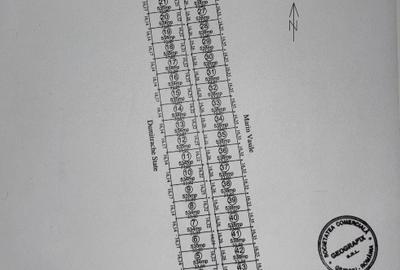 Loturi de teren intravilan 538mp, Săbăreni - 3