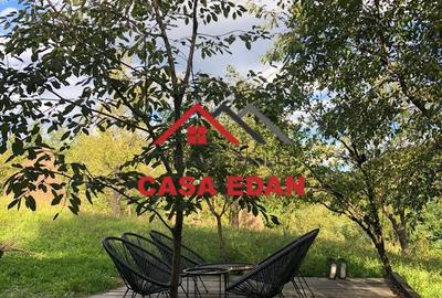 Teren extravilan in Brebu(Pietriceaua)--9104mp--50.000e - 1