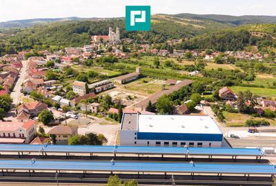 Spațiu industrial cu Teren 13.072 mp în Lipova - 5