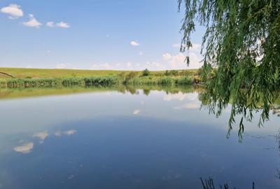 Teren cu deschidere catre lac - 40 km de Bucuresti - 8