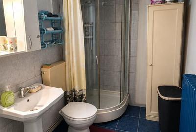 Casă de vanzare cu 4 camere 107 mpu pivnita anexe curte gradina Sebes - 7