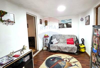 Casă / Vilă cu 6 camere de vânzare în zona Mihai Viteazu - 7