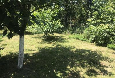 Vand apartament o camera Balcescu 56000 euro - 3