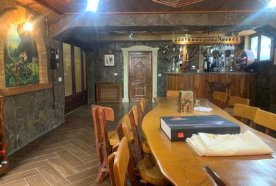 Primo -Vilă D+P+2M+Mpiscina teren 1289 mp preț.2.500.000 euro - 8