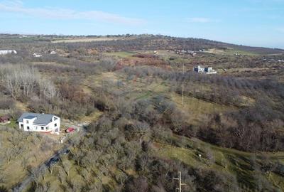 Teren 20.146 mp Dâmbu Rotund (Lomb).Extravilan.Potențial rezidențial - 9