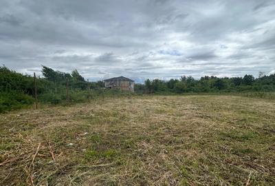REL4001305 Teren Sisesti Sector 1 - 1