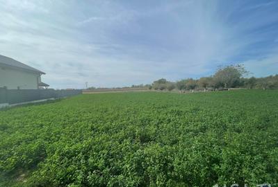 Teren Construcții intravilan de 1000 mp, în Bălești