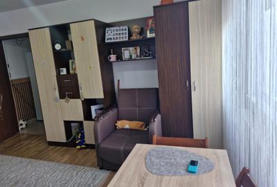 Șagului-Rebreanu arteră principală - 2