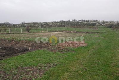 Teren intravilan 1,870mp | Cluj-Napoca, strada Silvaniei - 1