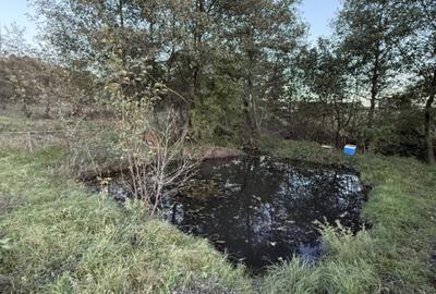 Teren extravilan de vanzare in Salicea 916mp+84mp drum necesită PUZ - 7