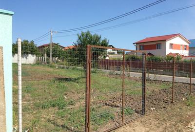 Teren + proiect Palazu Mare - Corneliu Baba - 4