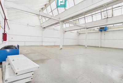 Hală de 431 mp în parc industrial Arad - 6