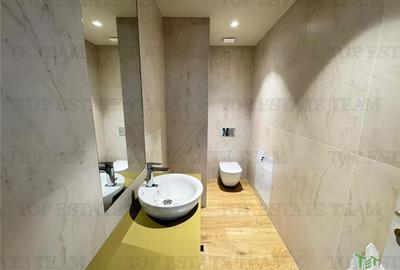 Penthouse exclusivist de vanzare - zona Eminescu - Dacia - Stefan cel Mare - 14