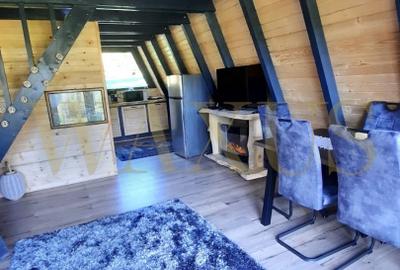 Teren 34,5 ari + cabana A-frame Colibita – ideal pentru resort, spa sau pensiune - 8