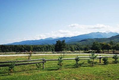 Teren intravilan 2500mp  pe Valea Avrigului,optim casa de vacanta - 2