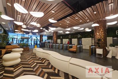 Birou premium in zona Piata Victoriei - 2