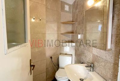 Aviatiei - Maguricea, vila S+P+1E+M, 9 camere, suprafata utila 363 mp - 8