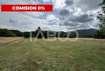 COMISION 0%! Teren extravilan 2424 mp zona Turistica Valea Sebesului