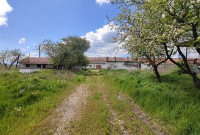 Teren parcelabil, 4,1 Ha, Brașov - Bod. Negociabil! - 9