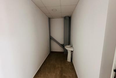 Hala industriala nouă, 386 mp, teren 900 mp, Domnești-Centura - 14