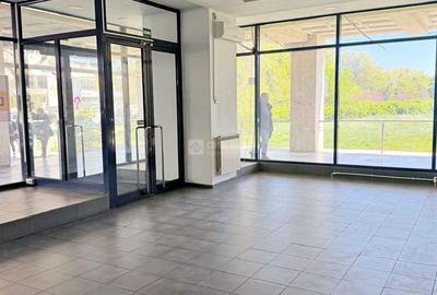 Anastasie Panu, spatiu comercial 168mp, inchiriere expres - 8