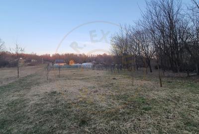 Teren intravilan pentru Casa de Vacanta - Mosoaia -Basangesti - 4