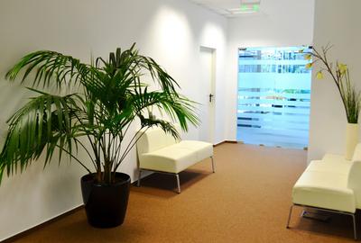 De inchiriat spatiu de birouri Baneasa Comision 0% - 7