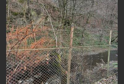 Comision 0%, casa/pensiune 15 camere, zona frumoasa - 28